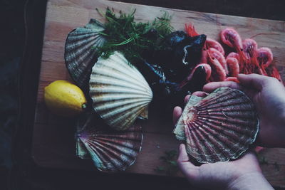 Close-up of hand holding seashell on table