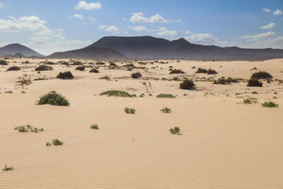 Scenic view of desert against sky