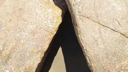 High angle view of shadow on road