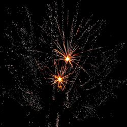 Low angle view of firework display at night