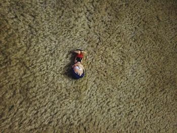 High angle view of person on sand