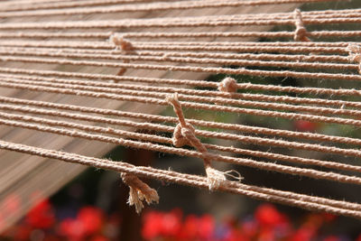 High angle view of plant on metal surface