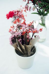 Close-up of potted plant on table