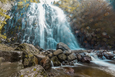 Scenic view of waterfall in forest