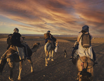 Horse riding horses