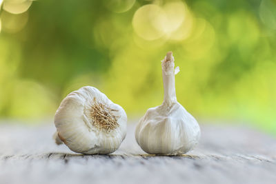 Close-up of white garlic on table