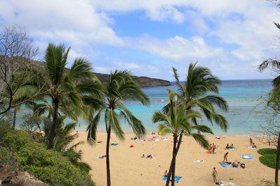 Palm trees on beach against sky