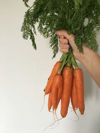 Midsection of person holding vegetables