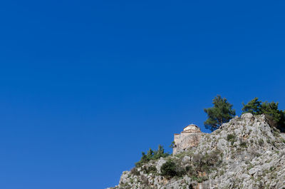 Low angle view of trees against clear blue sky