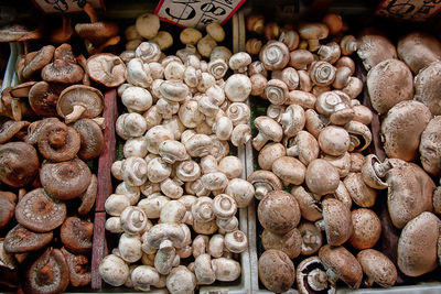 High angle view of edible mushrooms for sale at street market