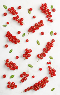 High angle view of red berries
