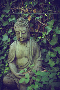 Statue of buddha against plants and trees