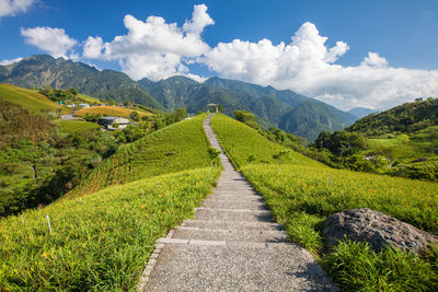 Scenic view of green landscape against sky