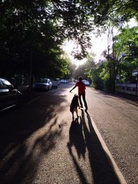 Shadow of people on road