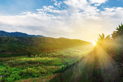 Scenic view of field against sky during sunset