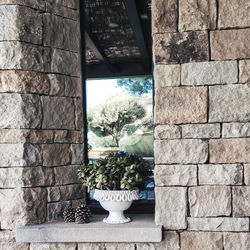 Potted plants on stone wall