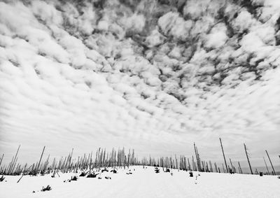 Scenic view of snow covered field against sky