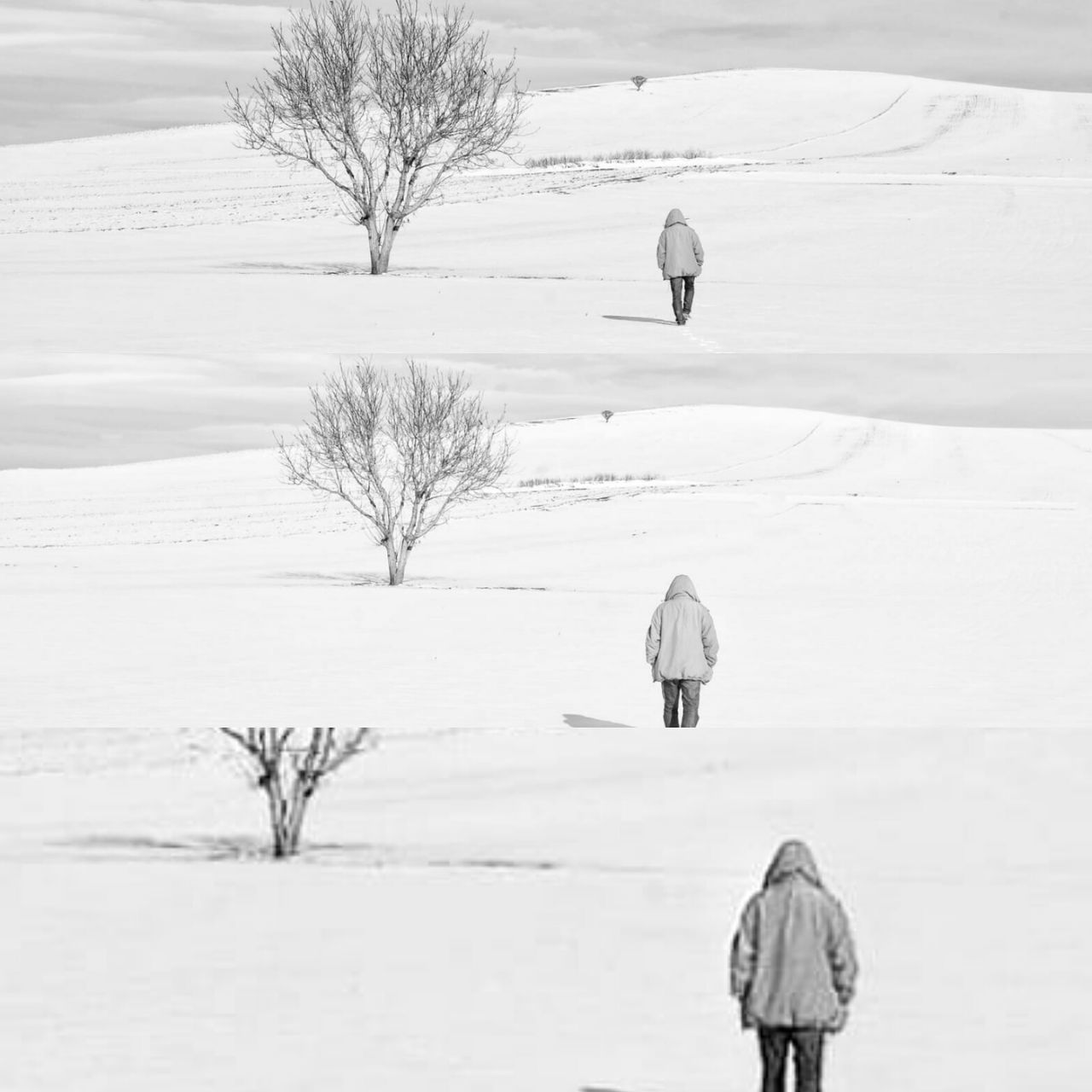 snow, cold temperature, winter, environment, tree, scenics - nature, bare tree, landscape, field, nature, beauty in nature, one person, land, covering, tranquility, plant, day, tranquil scene, frozen, outdoors, extreme weather, warm clothing