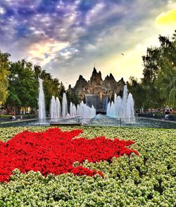 Red flowers growing by trees against sky