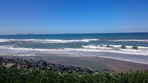 Scenic view of beach against clear blue sky