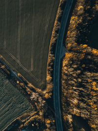 High angle view of road amidst trees