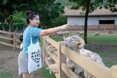 Smiling young woman feeding sheep at pen