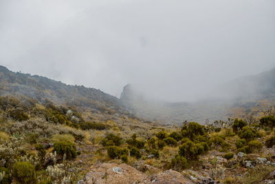Foggy mountain landscapes against sky, aberdare ranges, kenya
