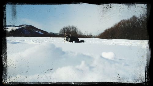 View of snow covered landscape