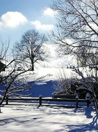 Bare trees on snow field against sky