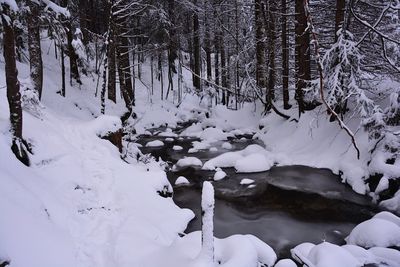 Scenic view of snow covered landscape