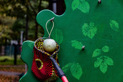 High angle view of plant hanging on metal