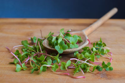 Close-up of chopped vegetables on table