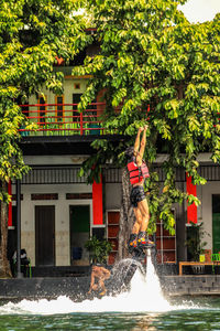 Fountain amidst trees and buildings in city