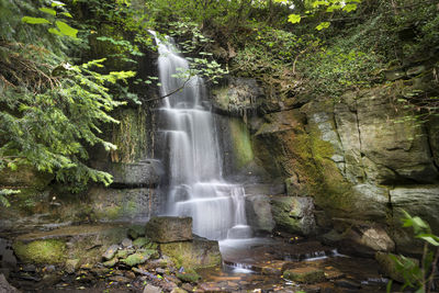 Scenic view of waterfall in forest