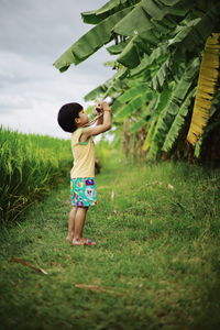 Portrait of young woman standing amidst plants