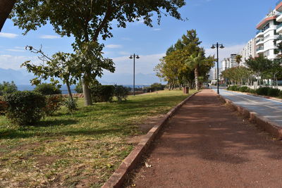 Road amidst trees against sky in city