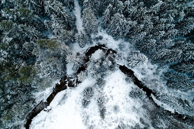 High angle view of snow covered trees on landscape