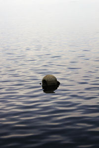 High angle view of buoy on lake during sunset