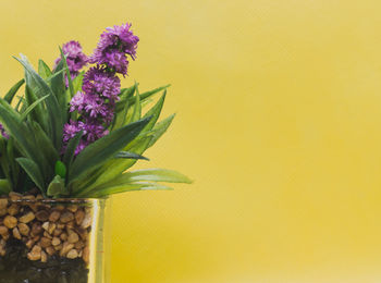 Close-up of flower vase against yellow wall