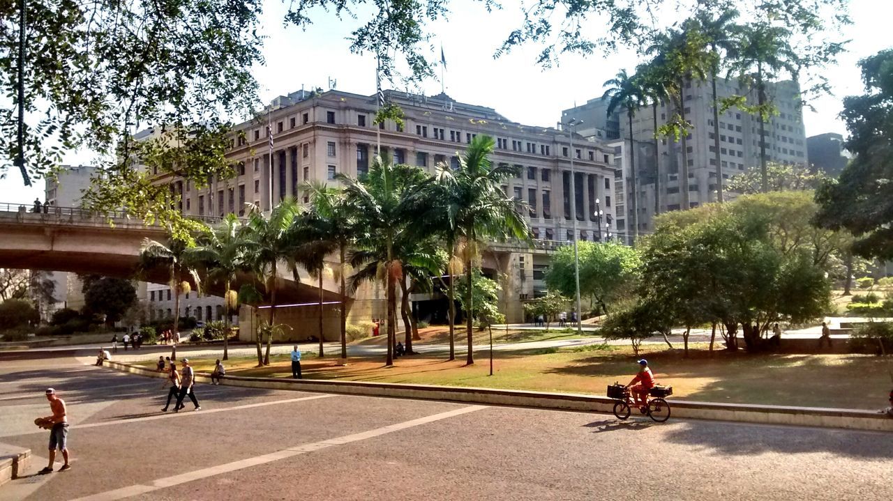 building exterior, architecture, lifestyles, tree, men, built structure, person, large group of people, leisure activity, city, city life, walking, mixed age range, street, bicycle, medium group of people, day, sunlight, shadow