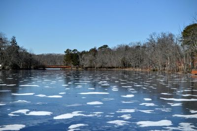 Scenic view of frozen lake by trees against clear blue sky