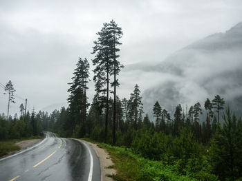 Road amidst trees against sky