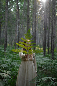 Tree by plants in forest