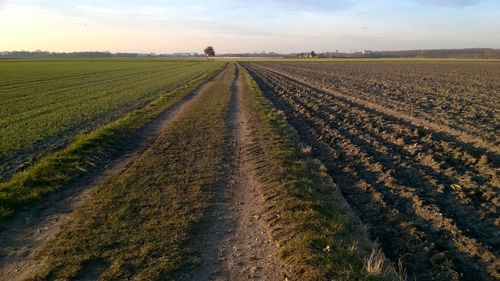 Dirt road passing through field