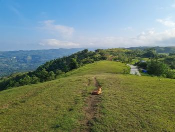 Scenic view of field against sky