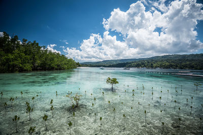 Scenic view of lake against sky