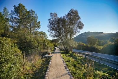 Road amidst trees against sky