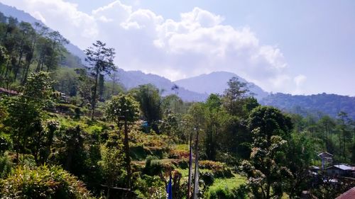 Panoramic view of trees and mountains against sky