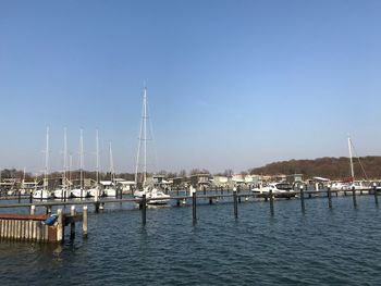 Sailboats moored in harbor