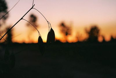 View of sky at sunset